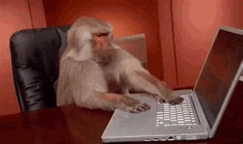 new year wishes 2024. . Monkey typing gif